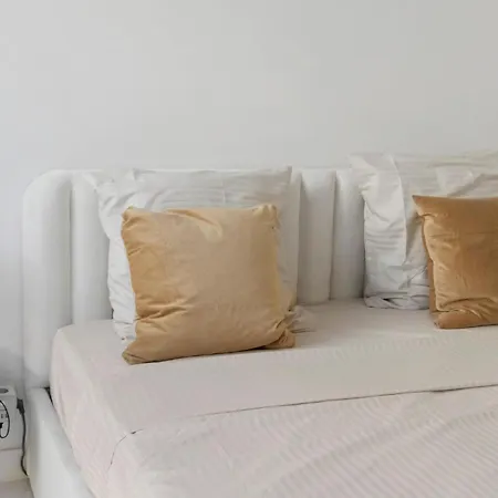 Cosy And 尼斯